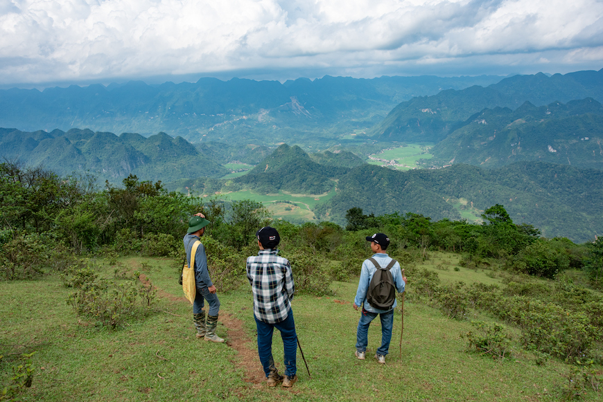 hiking